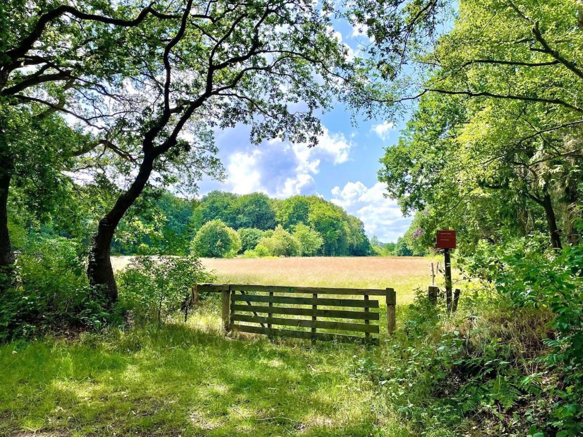 Buitenlust In Het Bos 추이드라렌 외부 사진