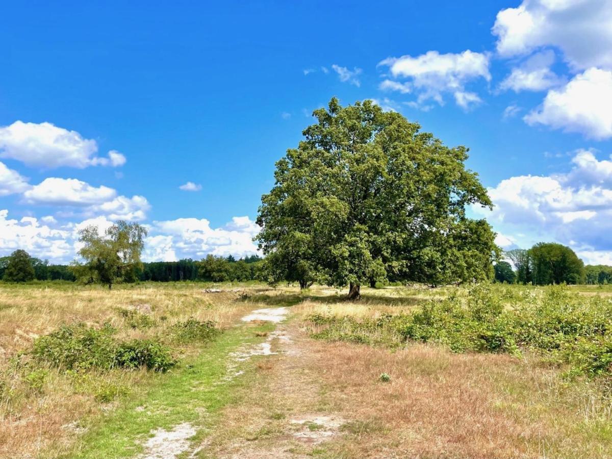Buitenlust In Het Bos 추이드라렌 외부 사진