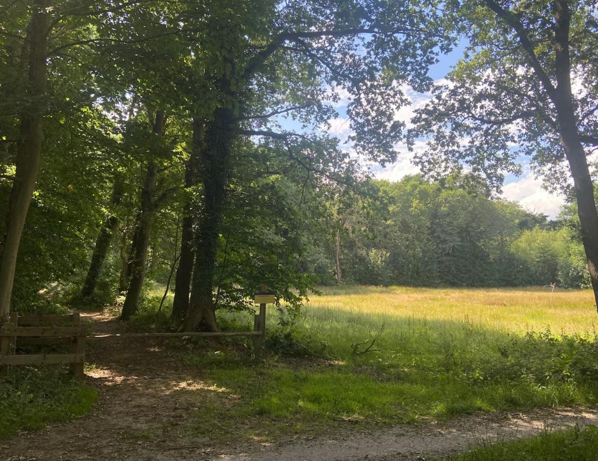 Buitenlust In Het Bos 추이드라렌 외부 사진